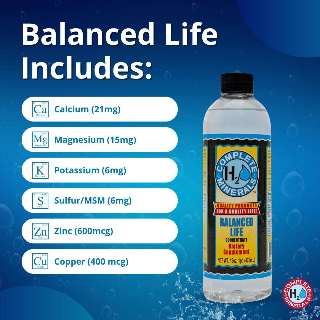 Balanced Life