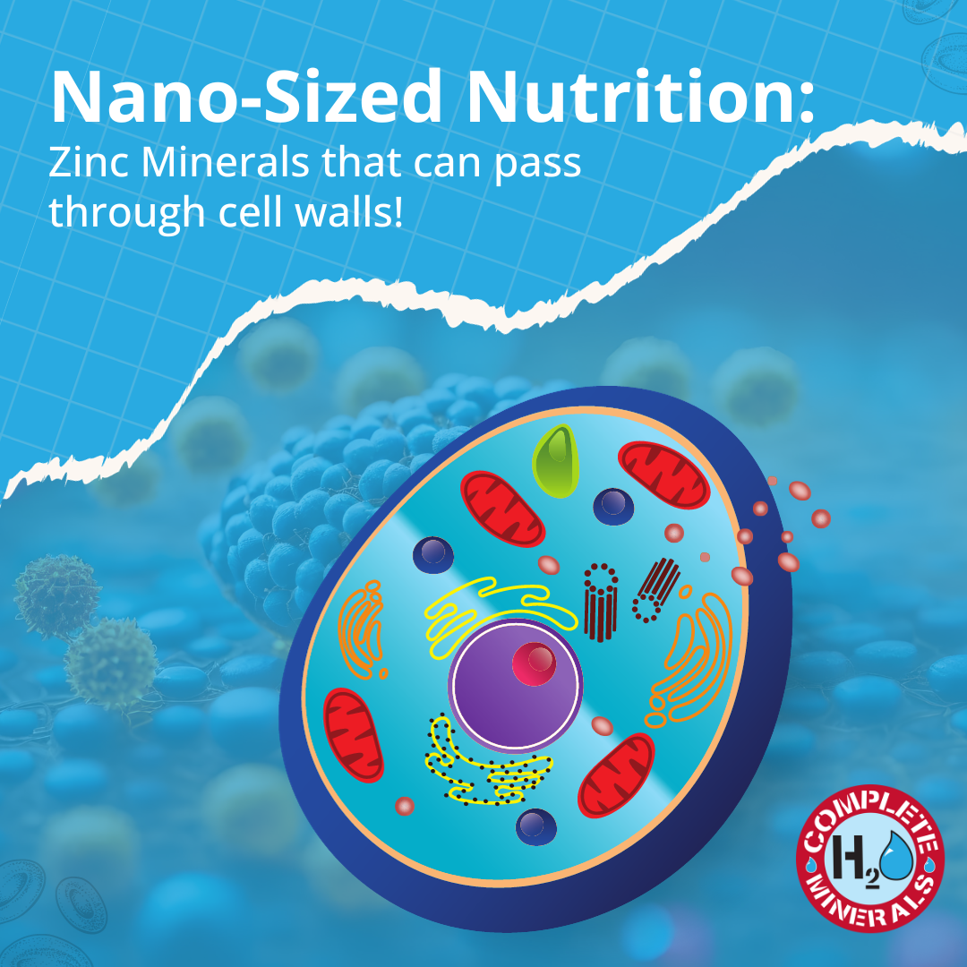 Immunity Bundle: Zinc & Silver Concentrates